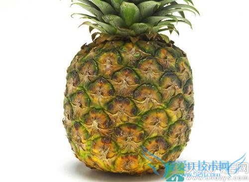 �������ܳԲ�����