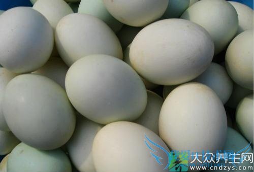 ��Ѫѹ�ܳ�Ѽ����