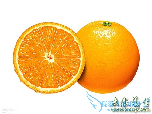 ���ڿ������ص���ʳԭ��(3)