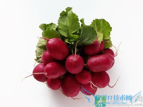 ��Ѫѹ�ܳ��ܲ���