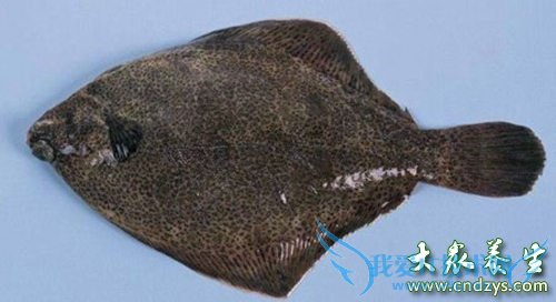 �и��ܳԱ�Ŀ����