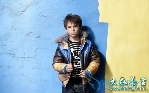 ����ڲ�����ָ��