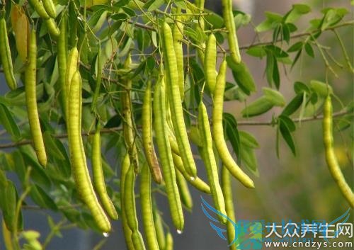 �����ܳԾ�������