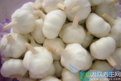 ���п��ԳԴ�����