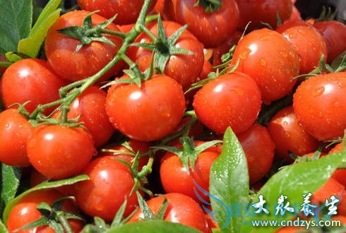 ���򲡻��ߵ��ļ������ؾ�  (2)