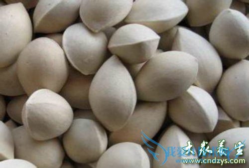 �и��ܳ����ӹ���