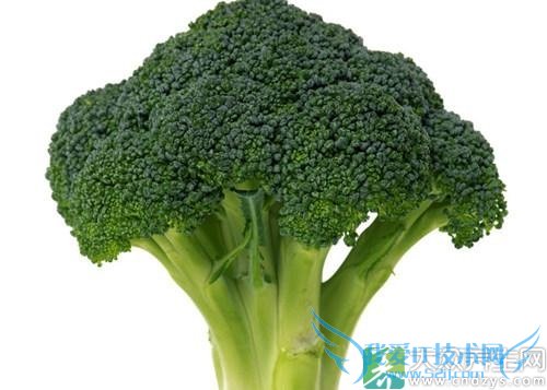 �и��Ի��˵�ע���