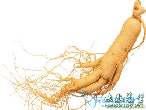 ���������ӵ�7����ʳ����(4)