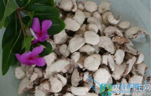 �����ܳ�ɳ����