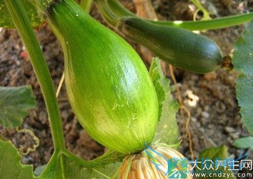 �����ܳԷ�����