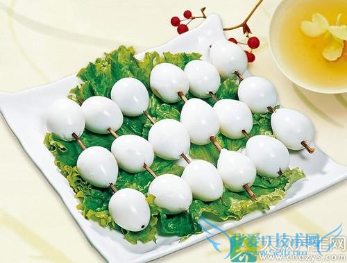 ʮ��׳��ʳ��������������(10)