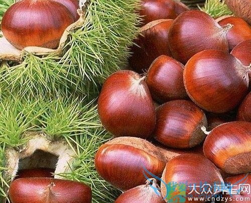 ʮ��׳��ʳ��������������(2)