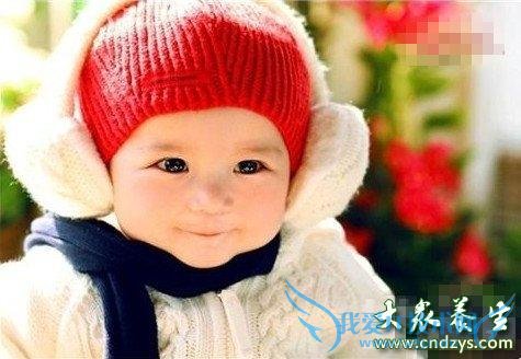 ��������֪ʶ �����׷��׶���������Ⱦ(3)