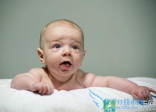 С����������Ȫ��