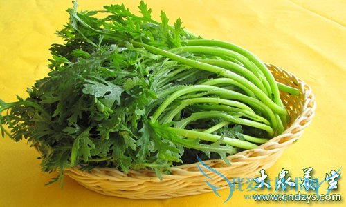 �������ܳ�������