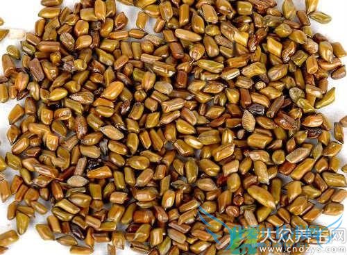 �и��ܳԾ�������