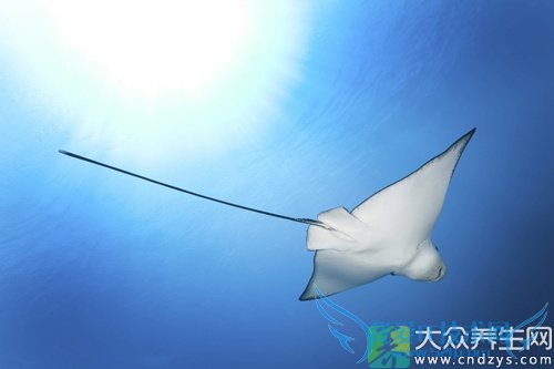 �и��ܳ�������