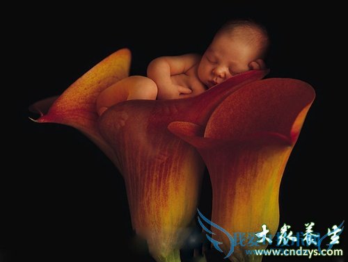 ����ȫ��8��̥�̷���(5)