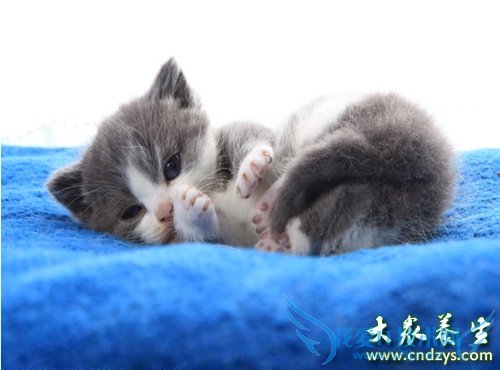 ׼����С�Ļ��ζ�(5)