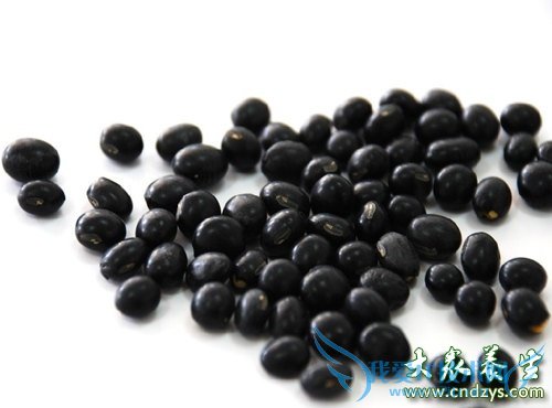 Ů�˲�Ѫ�ؿ� 7��ƽ��Ѫʳ��ʤ������(7)