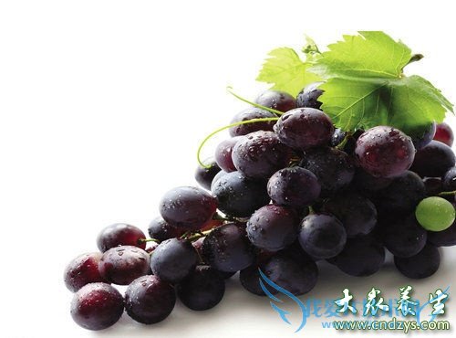 Ů�˲�Ѫ�ؿ� 7��ƽ��Ѫʳ��ʤ������(1)