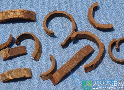 Ƥ�������ܳԺ�����