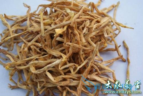 �и��ܳԸɻƻ���