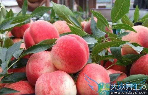 �����ܳ�����