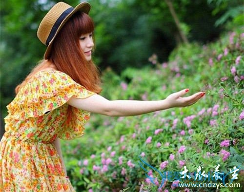 �ഺ����γ���