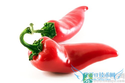 �����ܳԺ�������