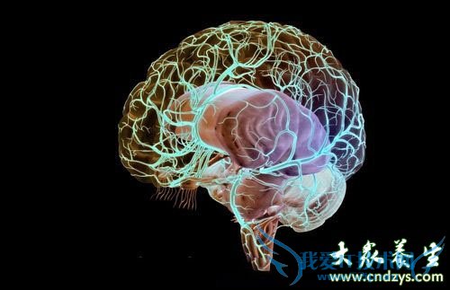 ��������ĸ�Σ��ʱ��(1)