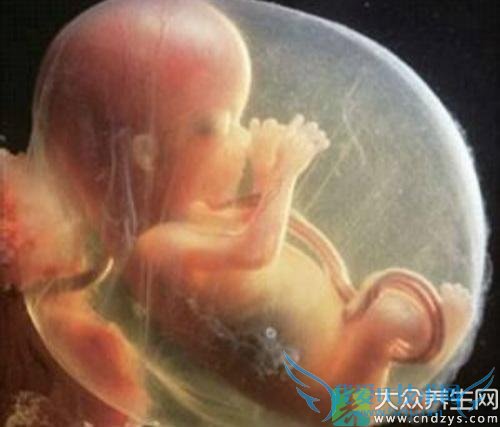 С������ƾ���ô��