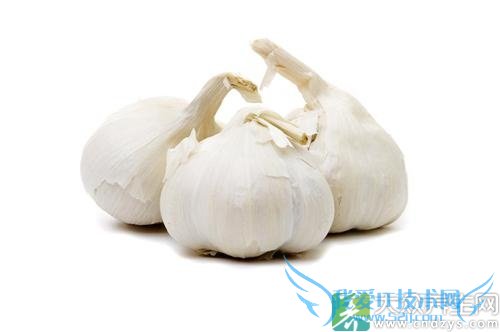 �������ԳԴ�����