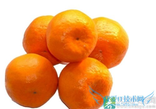 �����ܳ�«����