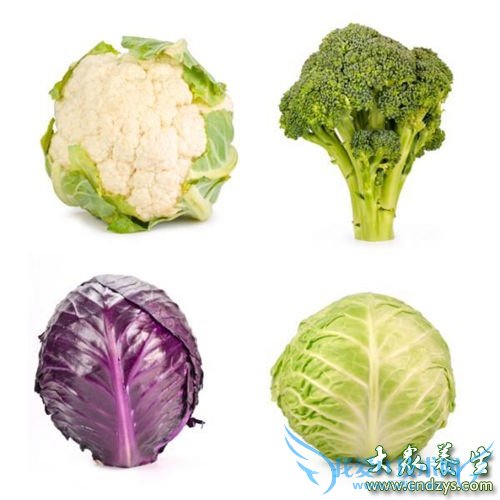 ��������������ʮ��ʳ��(9)