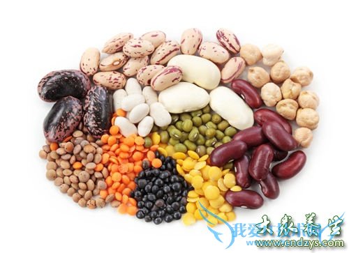 ��������������ʮ��ʳ��(8)