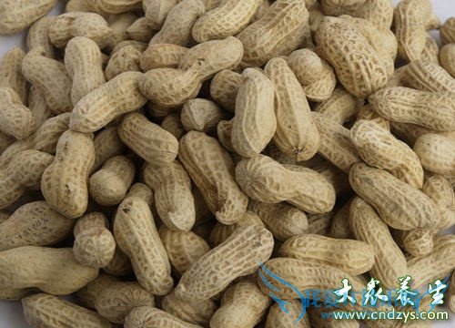 ���˵�Ӫ������Ҳ�Ͳ����й�ϵ��(3)