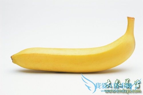 ʹ����ʲôʳ���