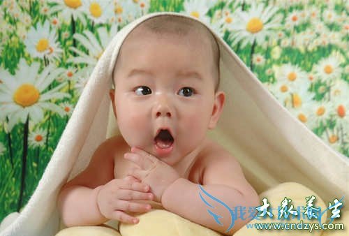 5�Բ߻���BB�ļ�����(5)