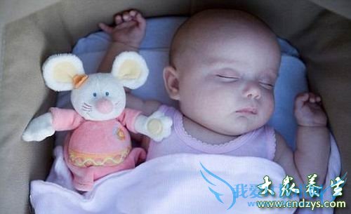 �ճ����ı���