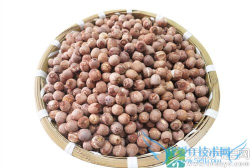 Ƥ�������ܳ�������  