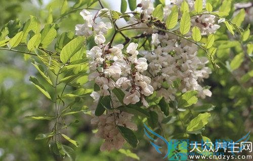 �������ܳԻ����� 