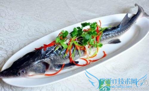 ��Ѫѹ�ܳ�������