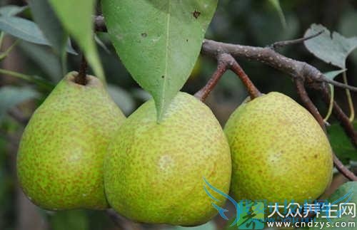 Ƥ�������ܳ���������