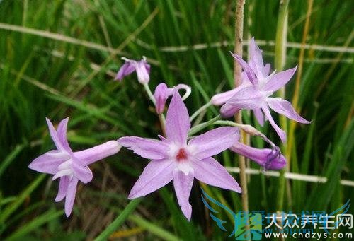 �����ܳ�ޯ��