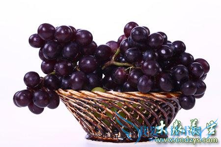 ��Щ��Ч�ɷ�������˥�ϣ���ʳ��˥�ϵ�ע���(3)