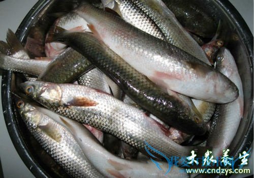 �и��ܳ�������