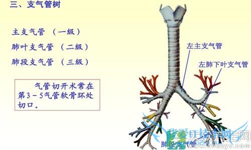 С������֧�����׵�Ԥ��