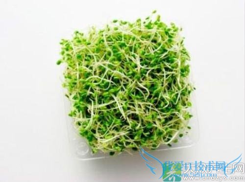 �����ܳ���ޣ��