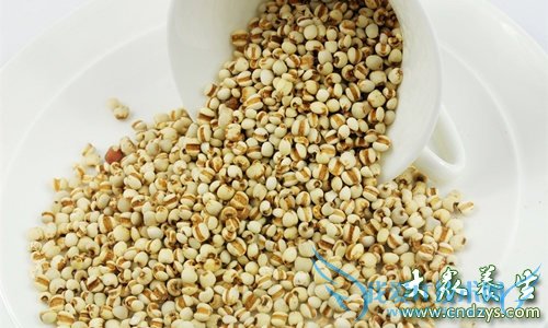 ��Ѫѹ�ܳ�޲���� 